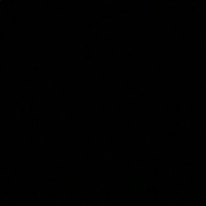 Meet your Posher, Ariana